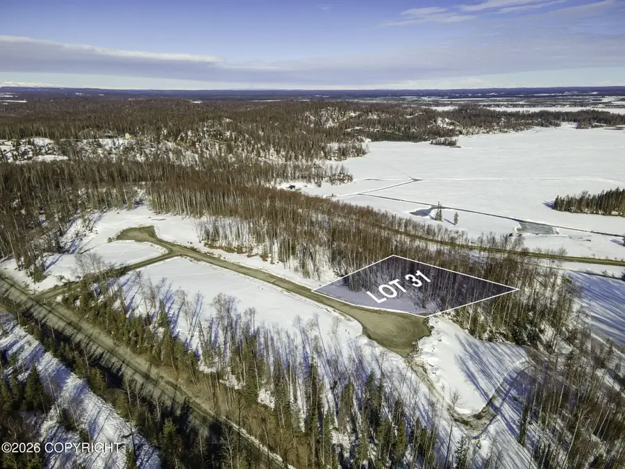 20161 W Kvichak Circle, Big Lake, AK 99652 - #2