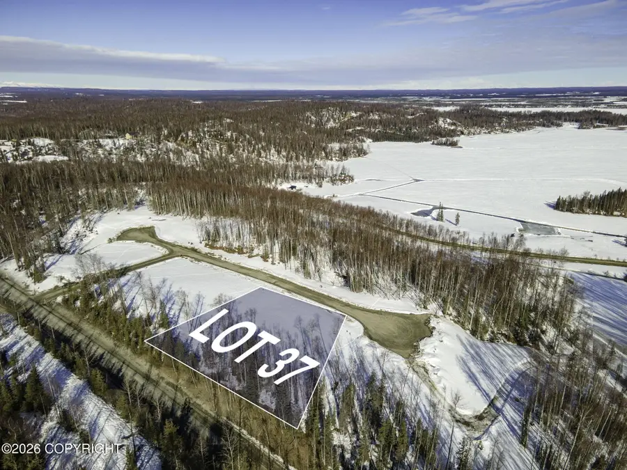 20180 W Kvichak Circle, Big Lake, AK 99652 - #2