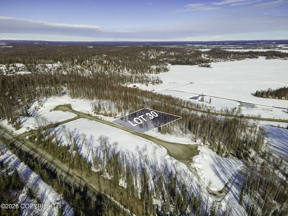 20201 W Kvichak Circle, Big Lake, AK 99652 - #1