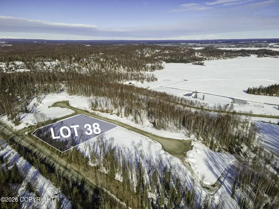 20224 W Kvichak Circle, Big Lake, AK 99652 - #2