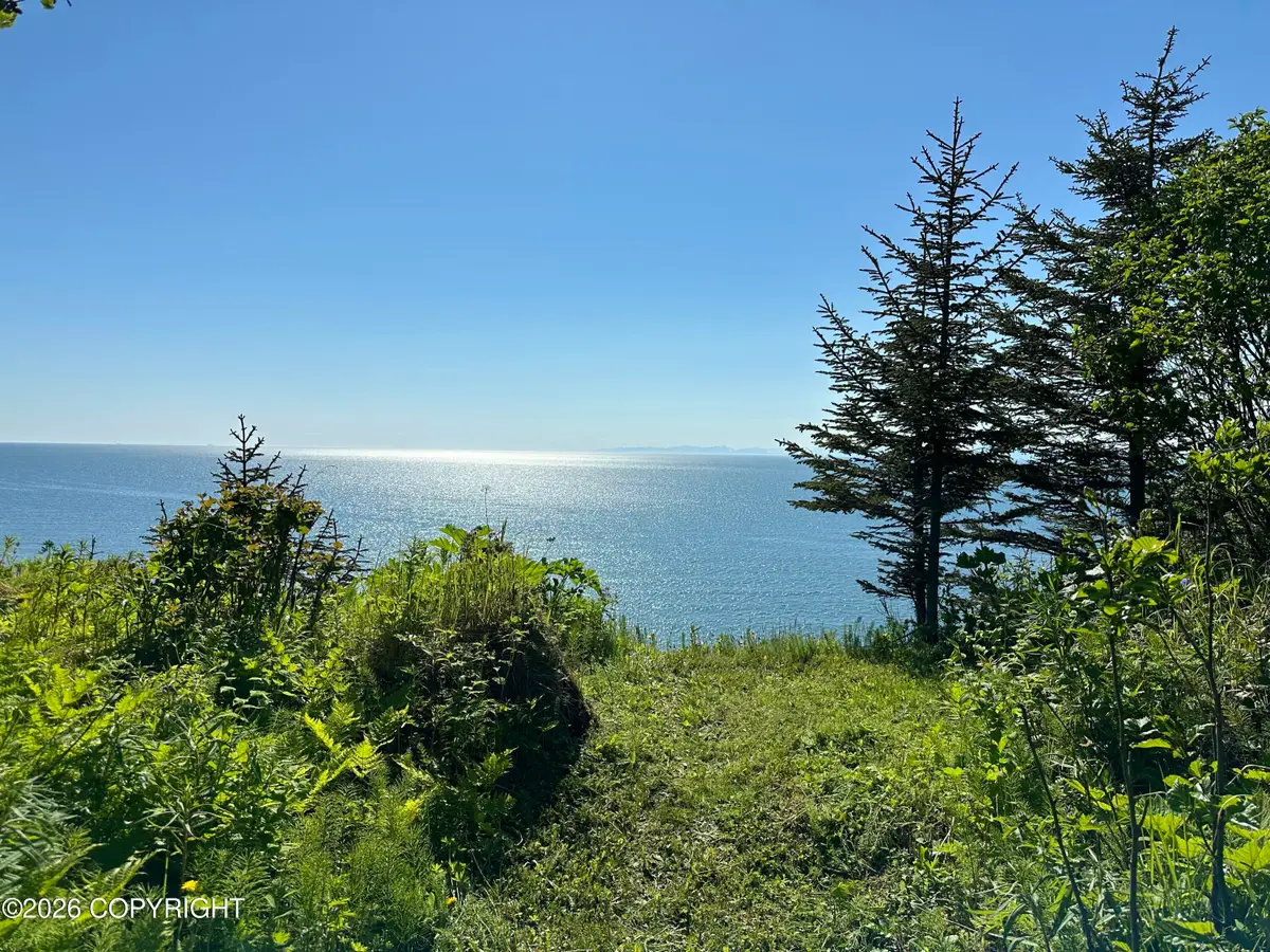 21125 Sterling Highway, Ninilchik, AK 99639 - #1