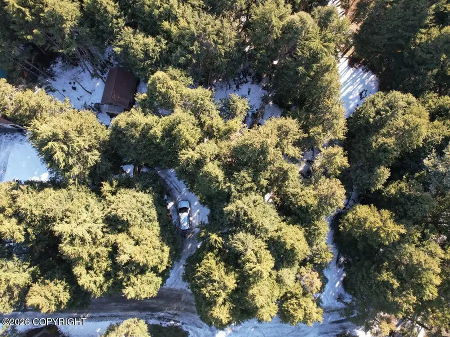 169 Agostino Mine Road, Girdwood, AK 99587 - #2