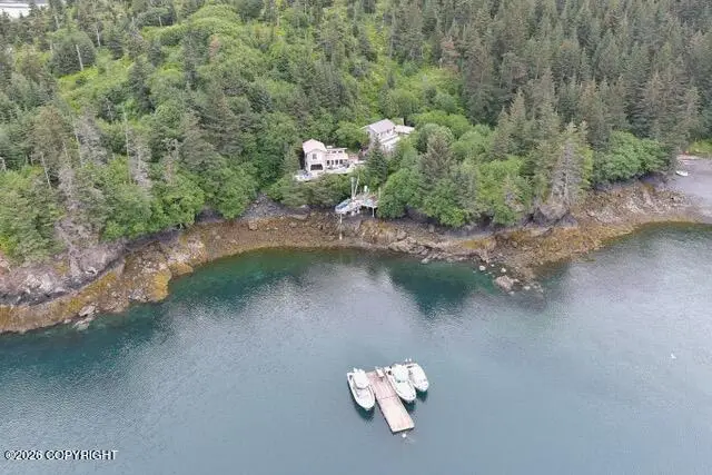 54066 Peterson Bay Remote Sw, Homer, AK 99603 - #2