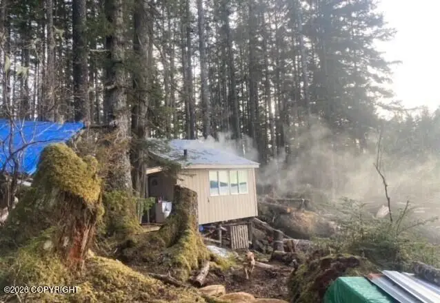 Lot 7, Point Baker, AK 99927 - #2