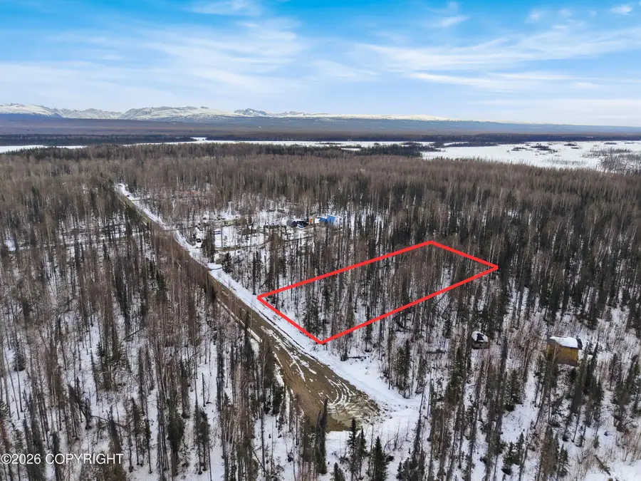 15822 E Greenleaf Drive, Talkeetna, AK 99676 - #2