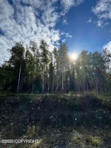 3361 N Carrillo Circle, Wasilla, AK 99623 - #2