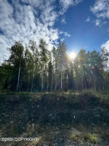 3361 N Carrillo Circle, Wasilla, AK 99623 - #3