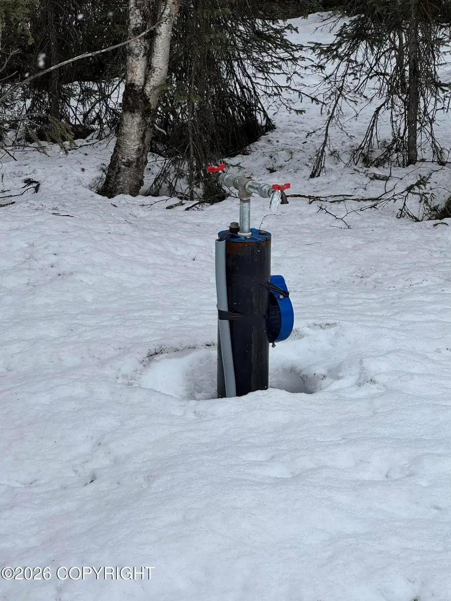 37548 S Talkeetna Spur Road, Talkeetna, AK 99676 - #3