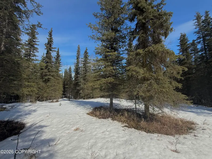 23217 Lowell Loop, Kasilof, AK 99610 - #2
