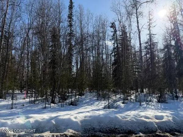 14584 N Sundown Drive, Willow, AK 99688