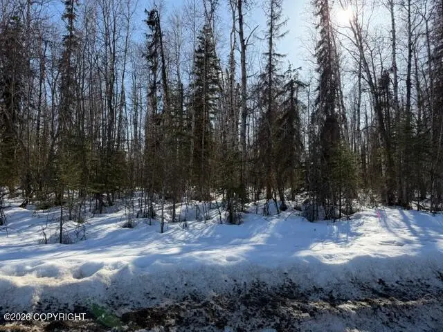 14584 N Sundown Drive, Willow, AK 99688 - #2