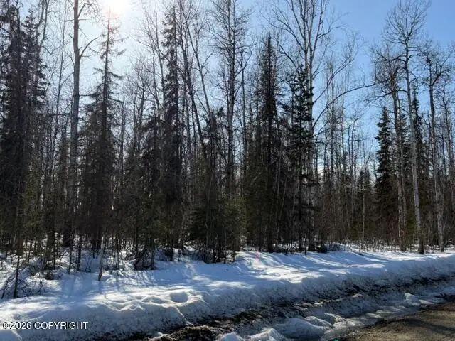 14584 N Sundown Drive, Willow, AK 99688 - #3