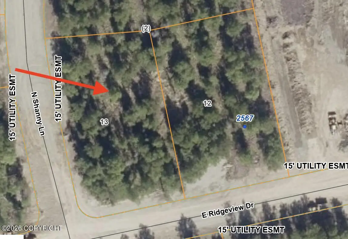 NHN N Shanny Lane, Wasilla, AK 99654 - #1