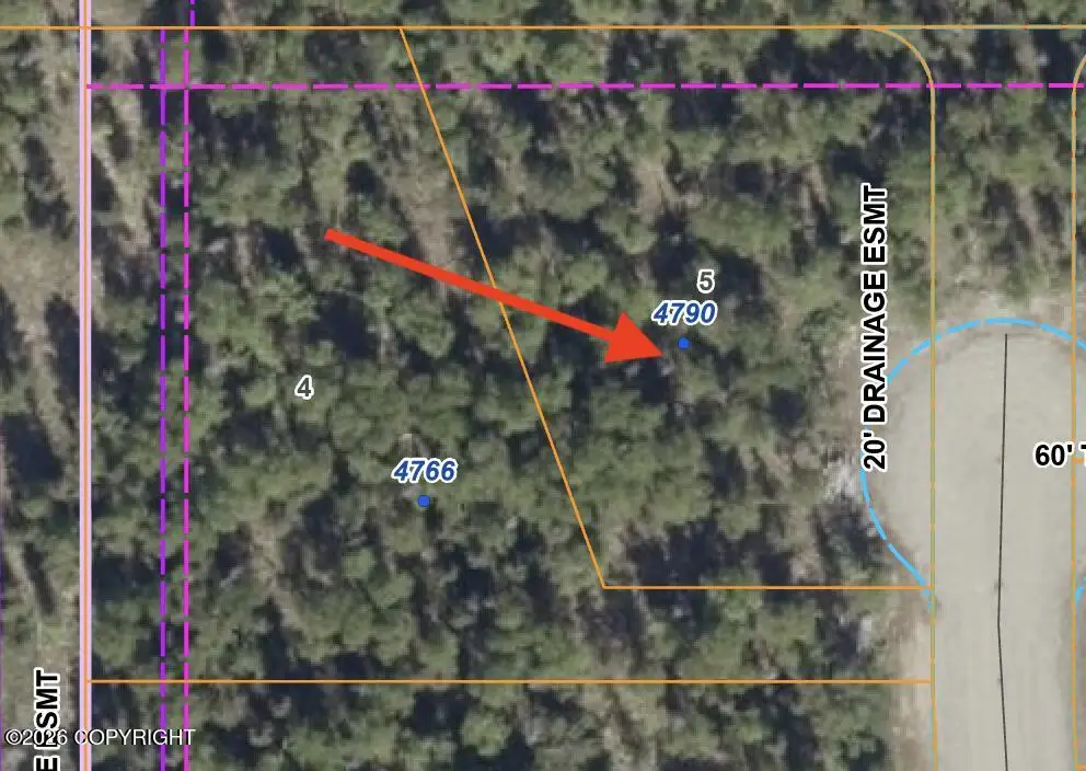 4790 N Shanny Lane, Wasilla, AK 99654 - #1