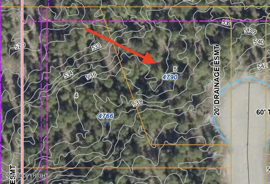 4790 N Shanny Lane, Wasilla, AK 99654 - #2