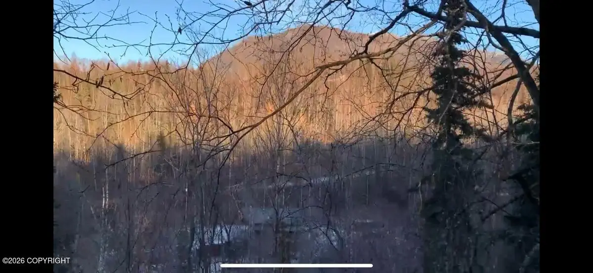 19745 Hardrock Drive, Chugiak, AK 99567 - #1