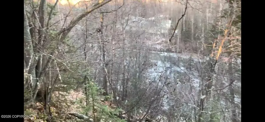 19745 Hardrock Drive, Chugiak, AK 99567 - #2