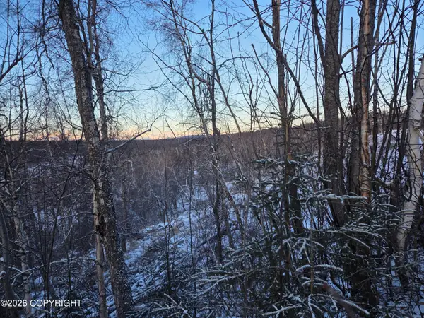 36868 S Malaspina Loop, Talkeetna, AK 99676