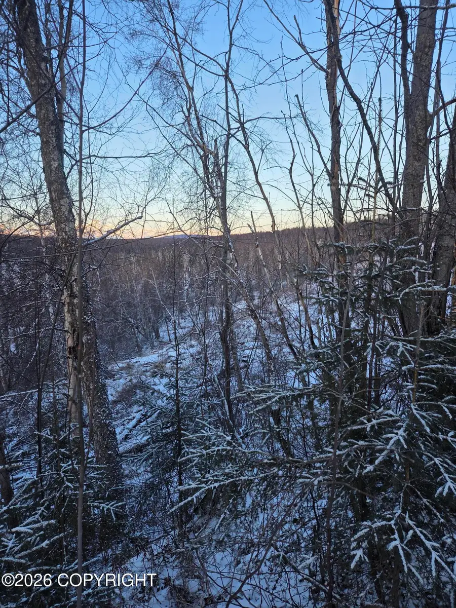 36868 S Malaspina Loop, Talkeetna, AK 99676 - #2