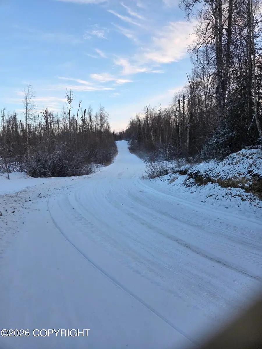 36868 S Malaspina Loop, Talkeetna, AK 99676 - #3