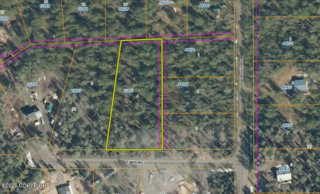 15863 E Willow Circle, Talkeetna, AK 99676 - #1