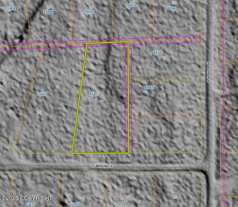 15863 E Willow Circle, Talkeetna, AK 99676 - #3