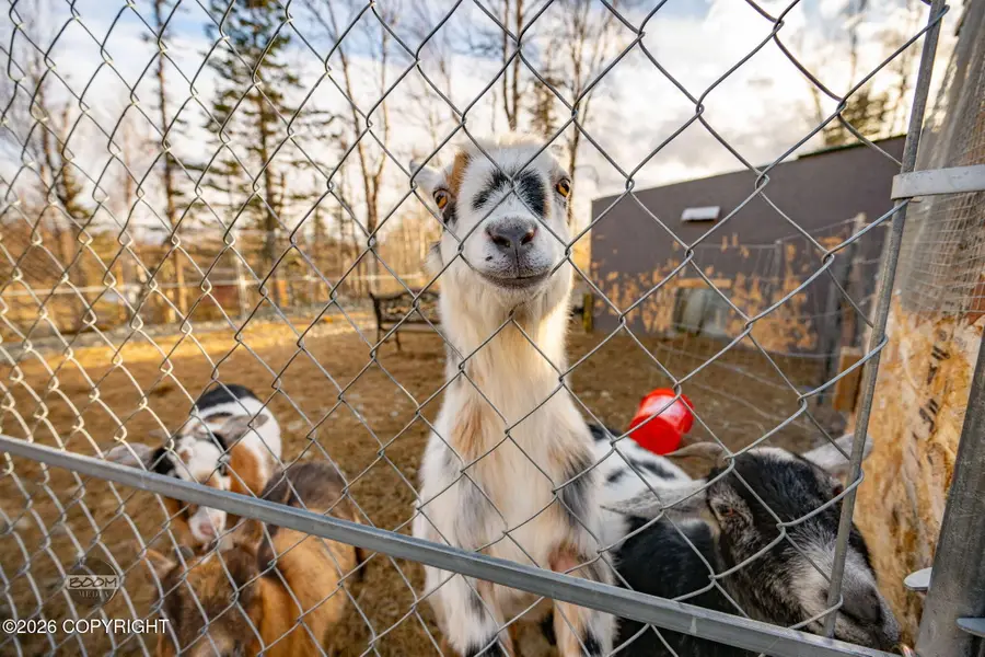 6061 N Anjanette Drive, Palmer, AK 99645 - #3