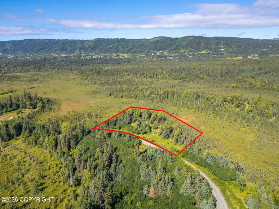 L2 Stone Step Circle, Homer, AK 99603 - #2