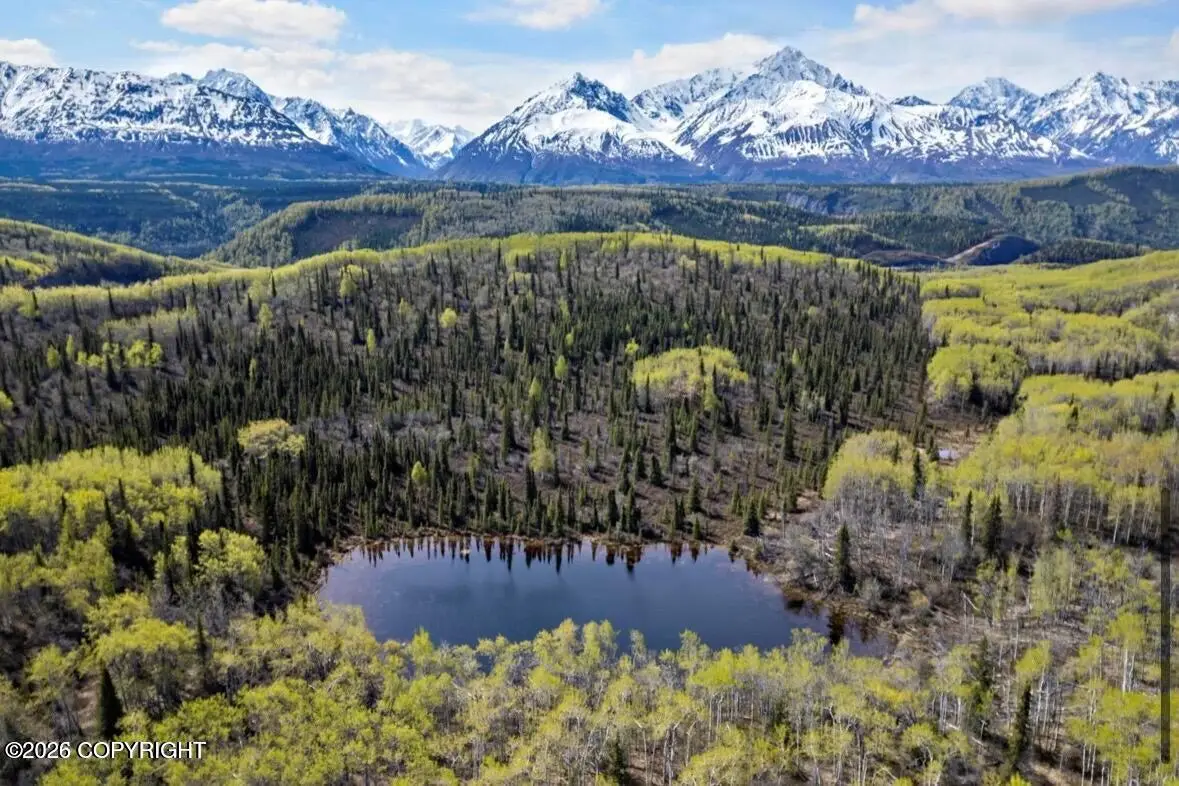 B5 Packsaddle Road, Chickaloon, AK 99674 - #1