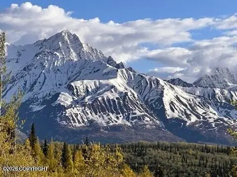 B5 Packsaddle Road, Chickaloon, AK 99674 - #2