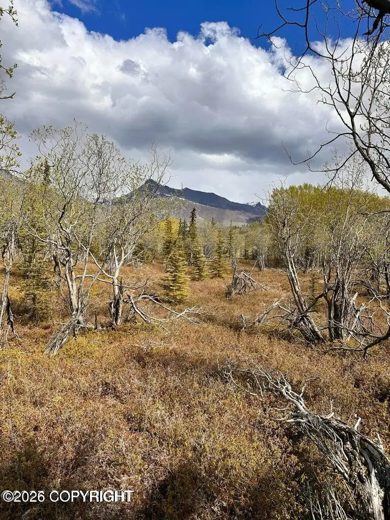 B5 Packsaddle Road, Chickaloon, AK 99674 - #3