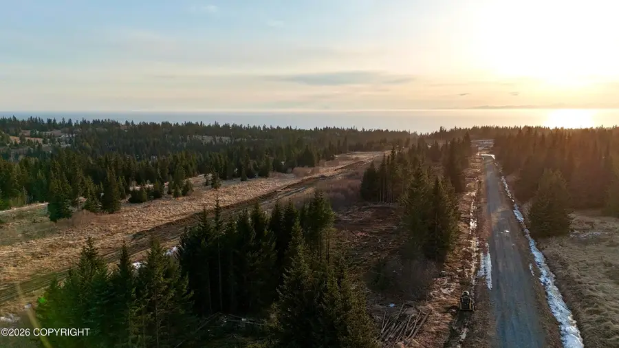 39A-2 Cirrostratus Loop, Homer, AK 99603 - #3