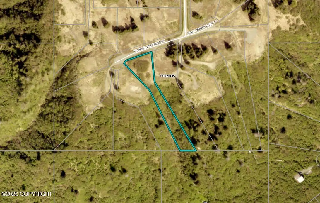 191 Tulin Bluff West Court, Homer, AK 99603 - #1