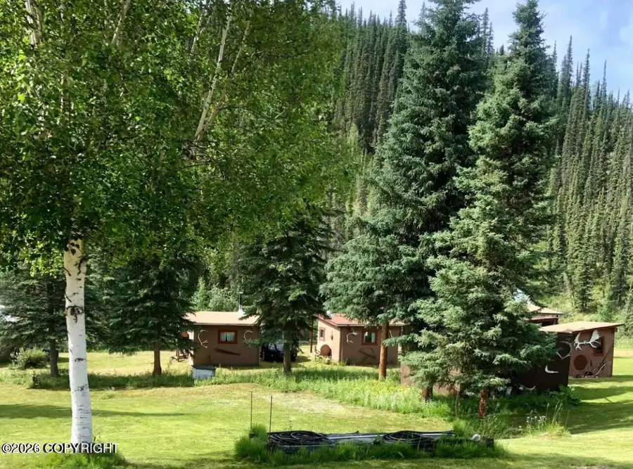 MP113 Taylor Highway, Chicken, AK 99732 - #2
