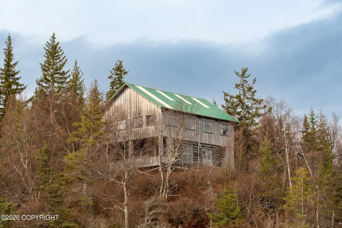 44956 Bear Island, Homer, AK 99603 - #1