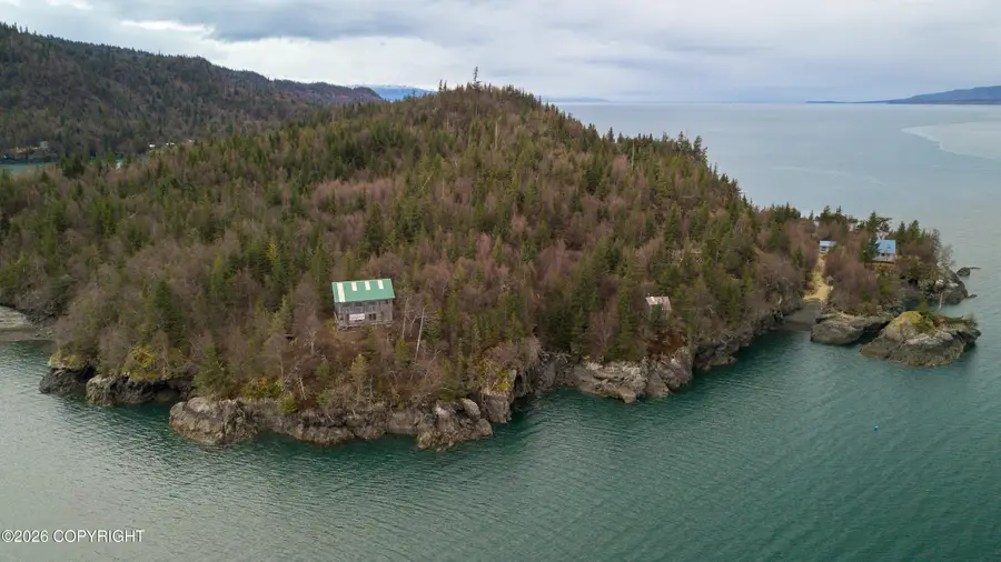 44956 Bear Island, Homer, AK 99603 - #2