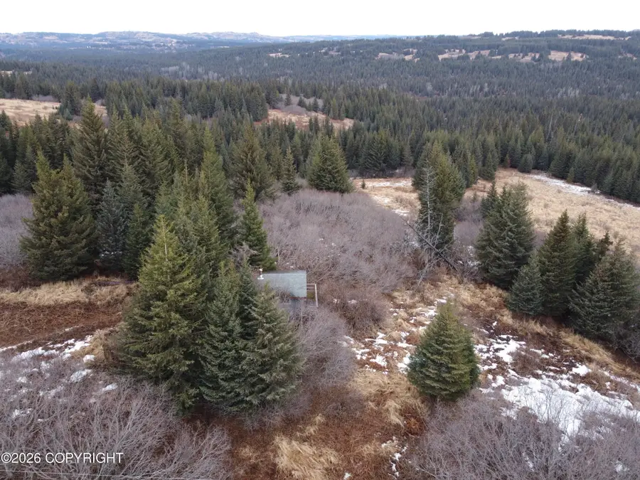 64530 W West Shelton Avenue, Homer, AK 99603 - #3