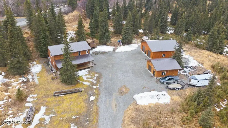 17447 Palmer Family Lane, Ninilchik, AK 99639 - #2