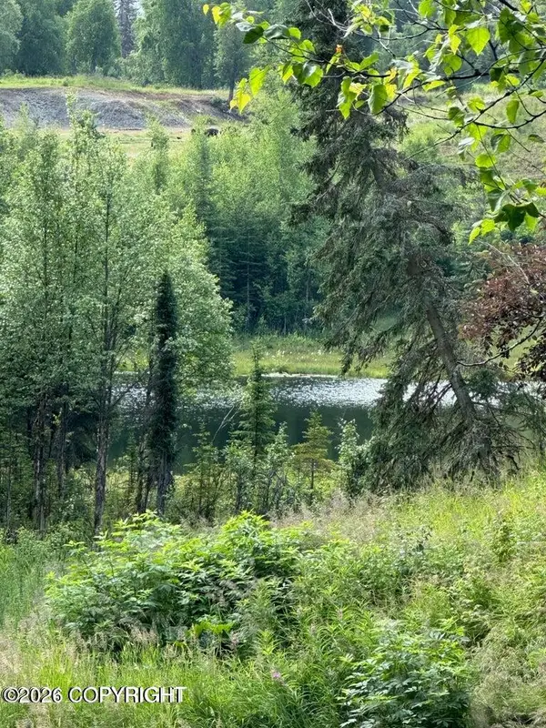 11A Debra Drive, Soldotna, AK 99669