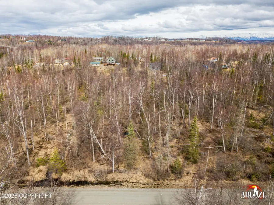 7927 W Hentila Street, Wasilla, AK 99623 - #3