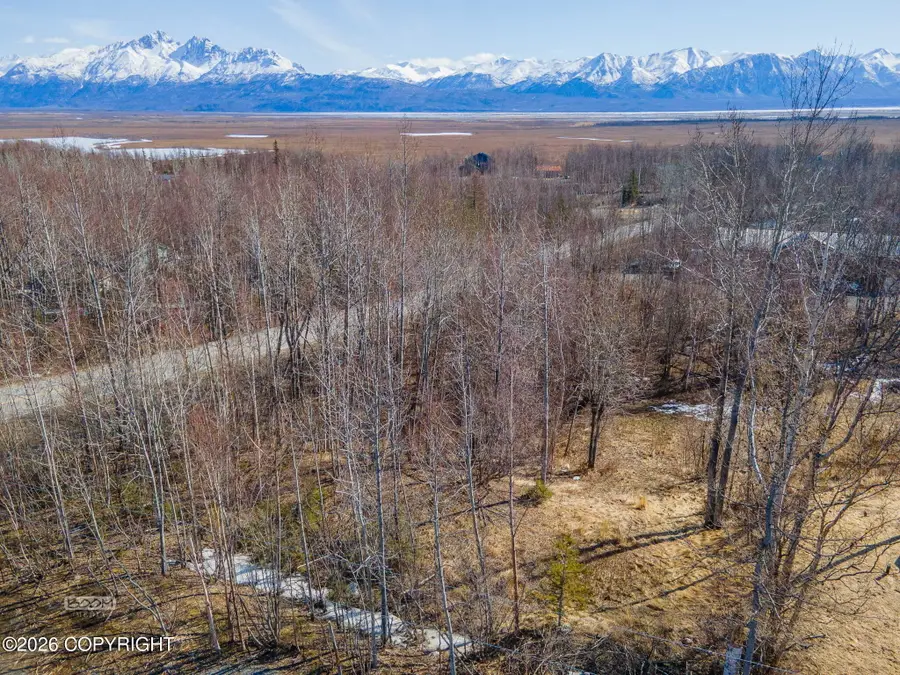 1160 E Chugach View Drive, Wasilla, AK 99654 - #2