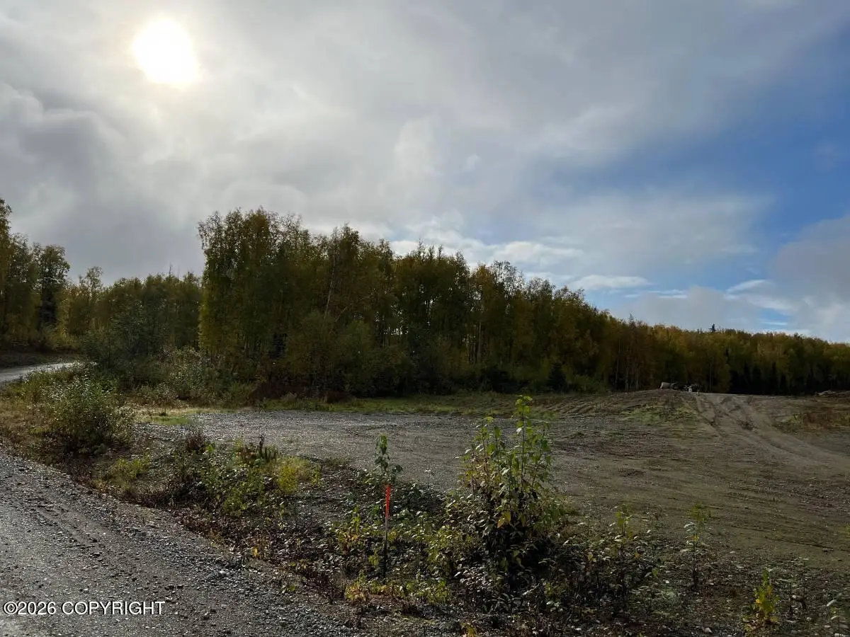 10832 N Pilot Drive, Willow, AK 99688 - #1