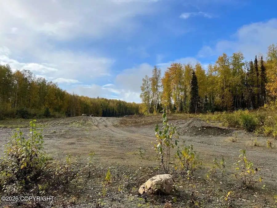 10832 N Pilot Drive, Willow, AK 99688 - #2