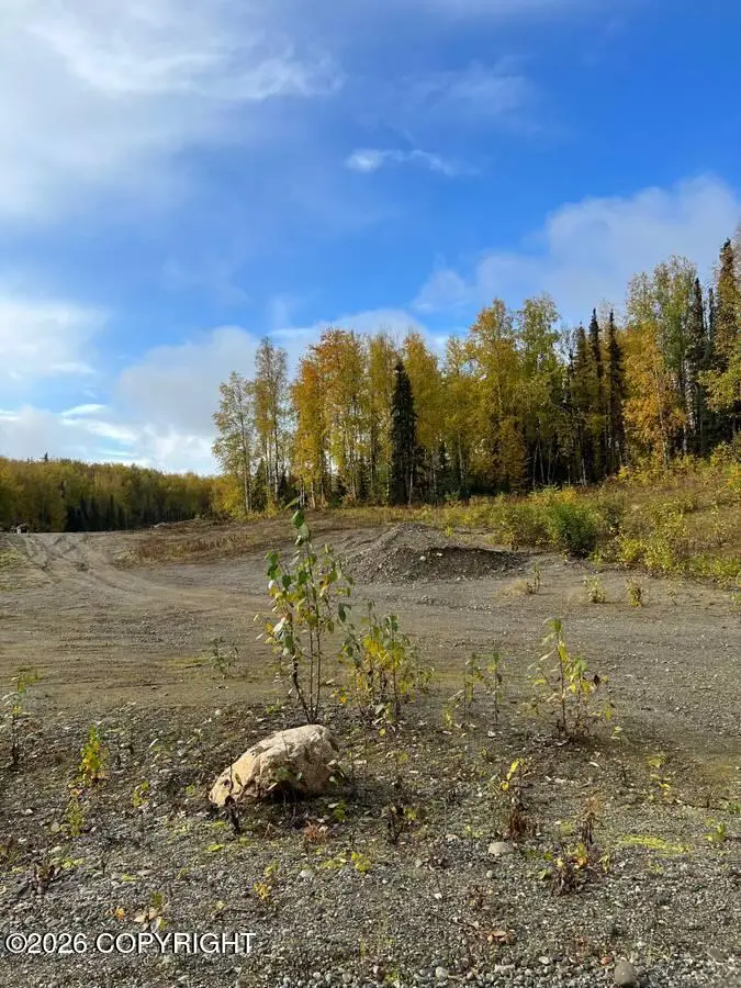 10832 N Pilot Drive, Willow, AK 99688 - #3