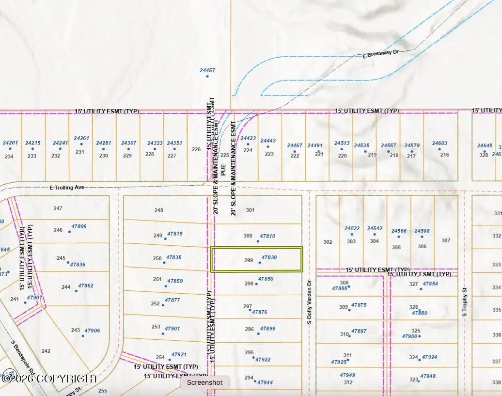 47830 S Dolly Varden Drive, Willow, AK 99688 - #1