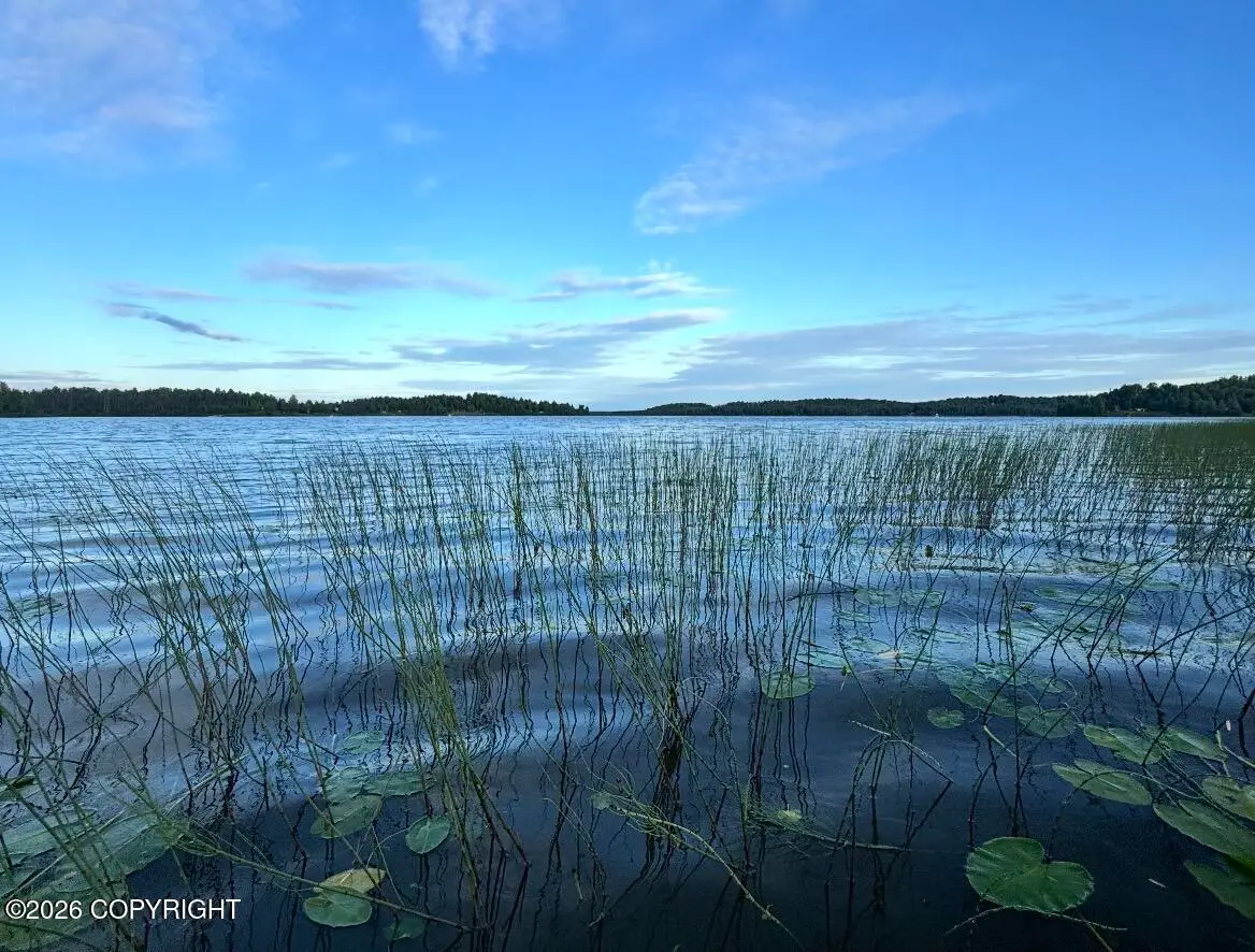 000 Tr Asls 71-19 Tr 17, Willow, AK 99688 - #1