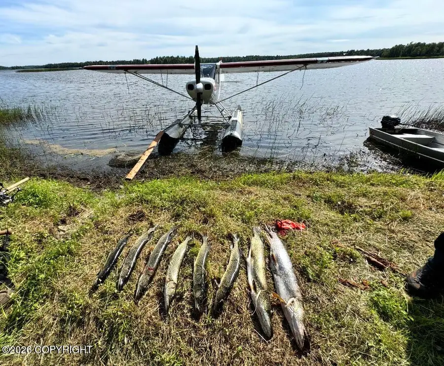 000 Tr Asls 71-19 Tr 18, Willow, AK 99688 - #3