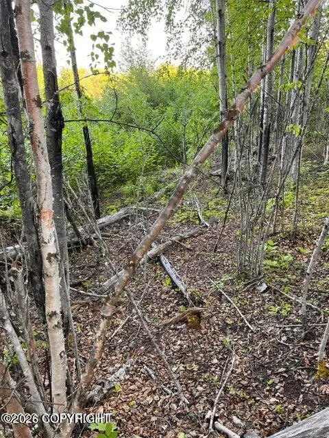 13957 W Aero Lane, Big Lake, AK 99652