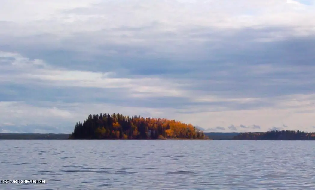 L21 Lake Louise, Glennallen, AK 99588 - #1