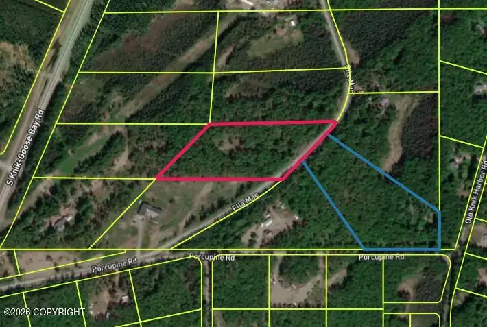 12806 S Ella Louise Circle, Big Lake, AK 99623 - #1